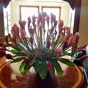 Meet your Posher, Cecelia